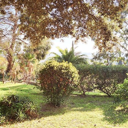 La Suite Costabella A Hyeres-Les-Palmiers ภายนอก รูปภาพ